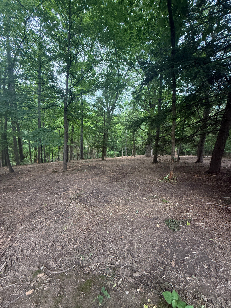 Cleared Ohio property after forestry mulching and tree and brush removal